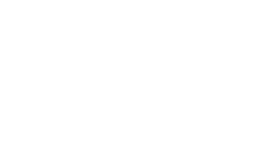 The Wheeliams LLC